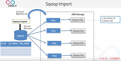 八款主流数据迁移工具技术选型解析，助力数据处理技术开发